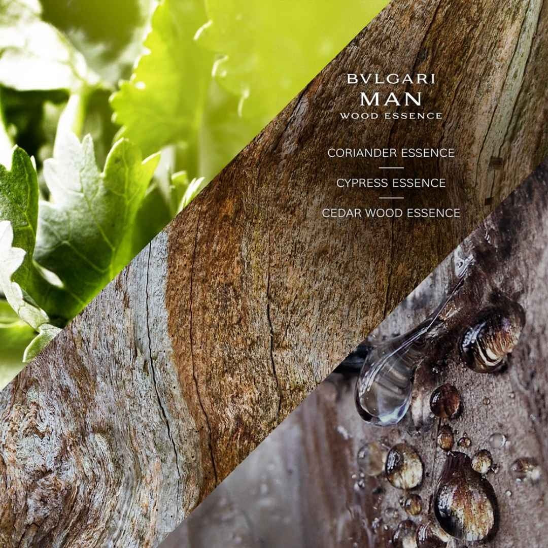 Man Wood Essence Eau de Parfum - 60ml - Image 3