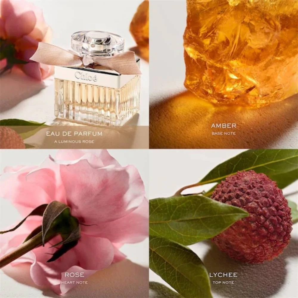 By Chloé Eau de Parfum - 50ml - Image 3