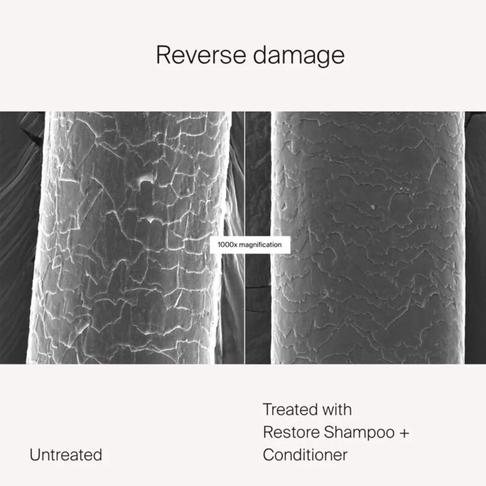 Restore Shampoo - 236ml - Image 3
