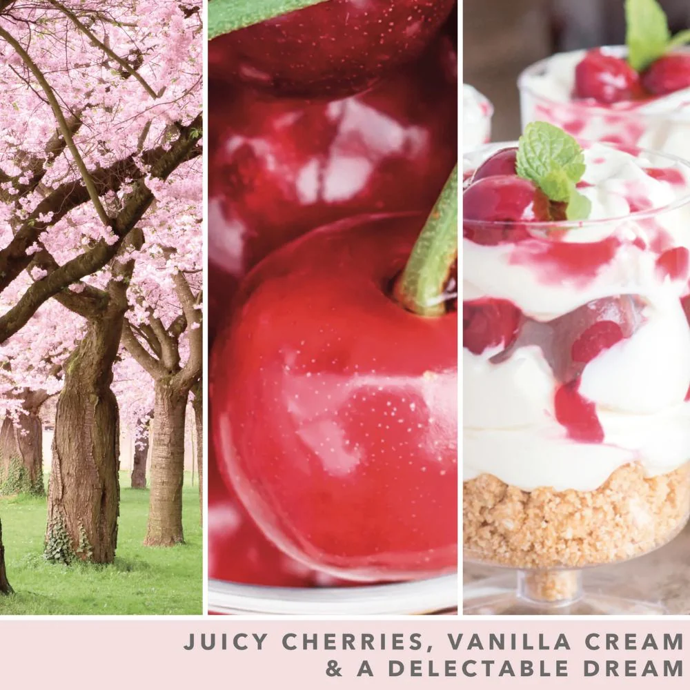 Pink Cherry & Vanilla Signature Large Jar - 567gr - Image 3