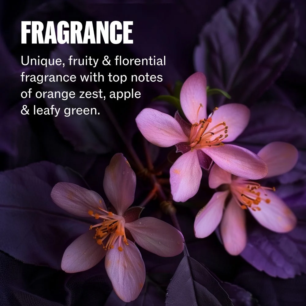Ultimate Color Conditioner - Image 7